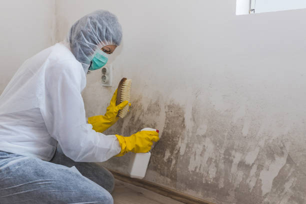 Best Industrial Mold Remediation in Fountainhead Orchard Hills, MD