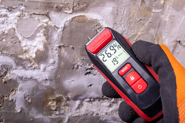 Fountainhead Orchard Hills, MD Mold Remediation Company