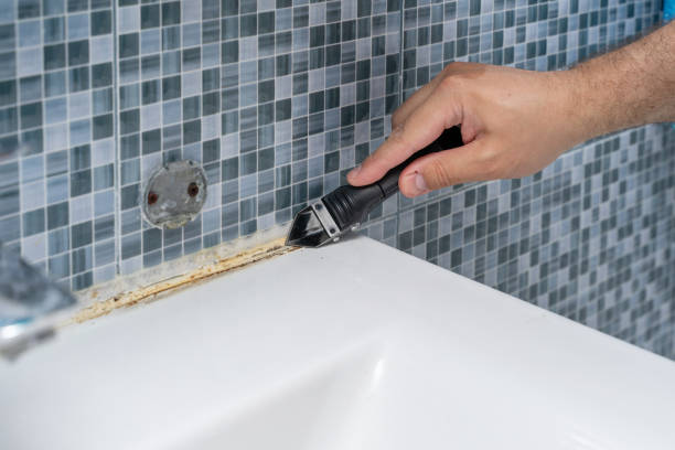 Best Black Mold Remediation in Fountainhead Orchard Hills, MD
